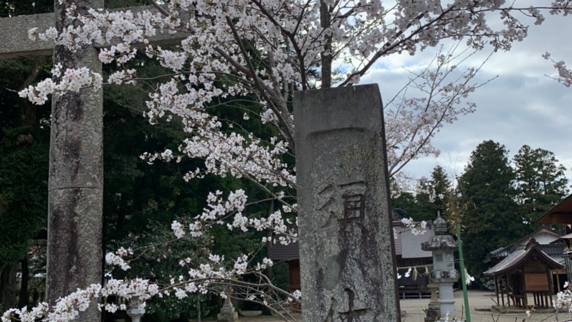 パワースポット須佐神社
