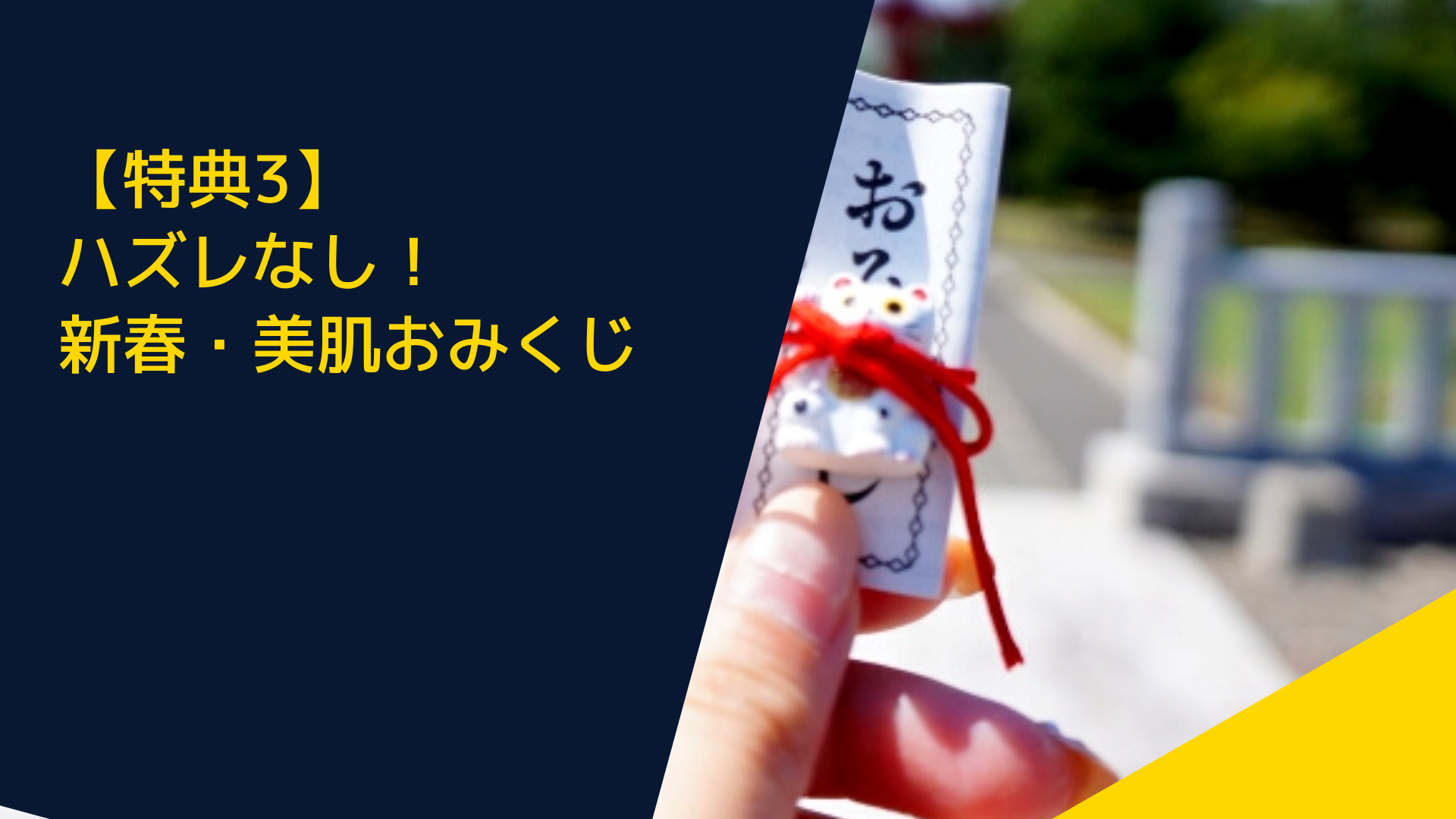 【特典3】ハズレなし!新春・美肌おみくじ